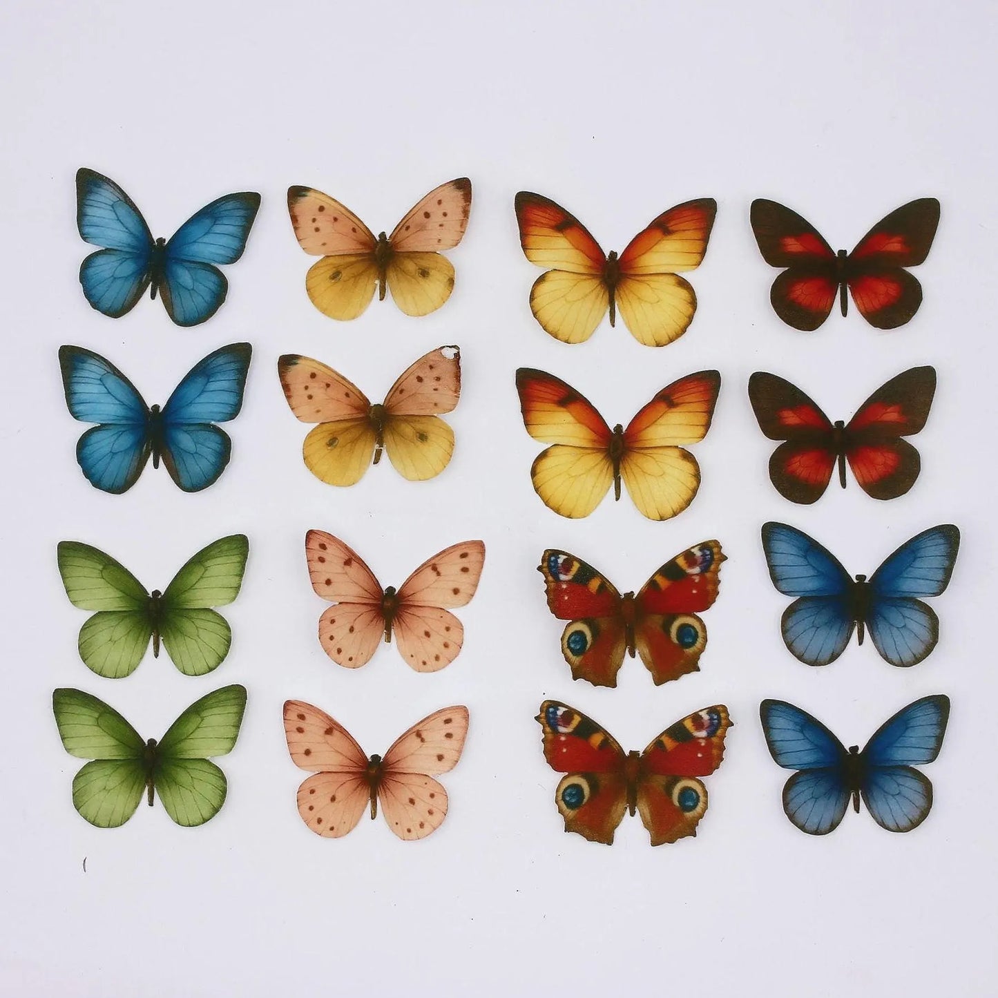 Butterfly Cupcake Toppers (16)