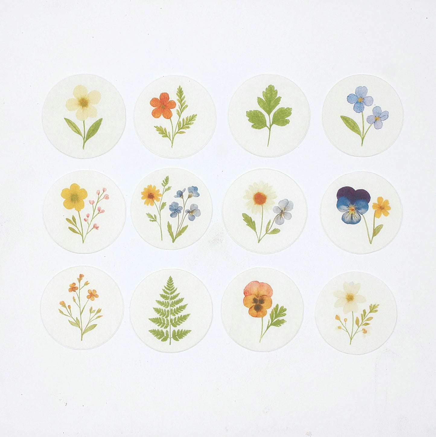 Pressed Flower Cupcake Toppers (12)