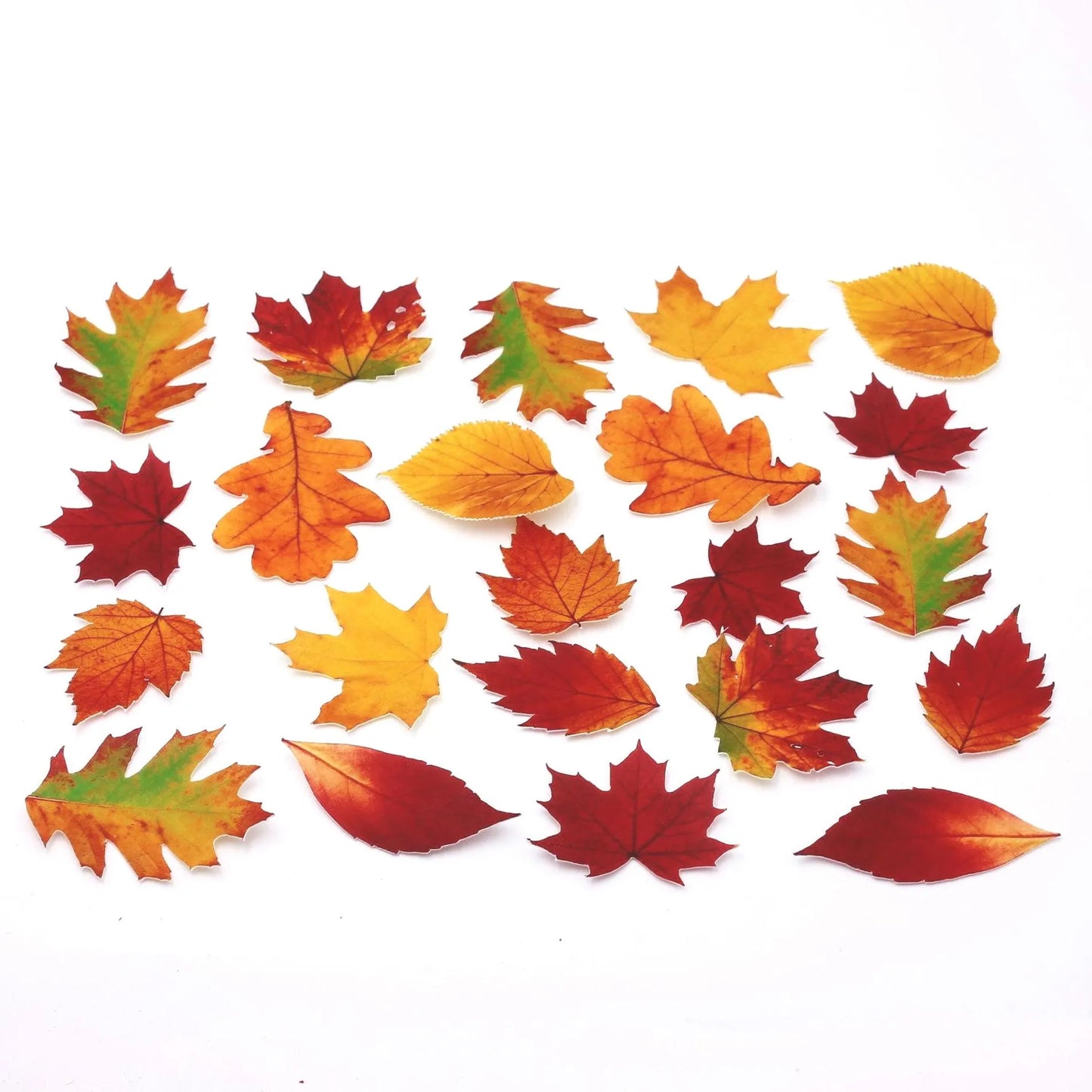 Fall Leaves Cupcake Toppers (22)