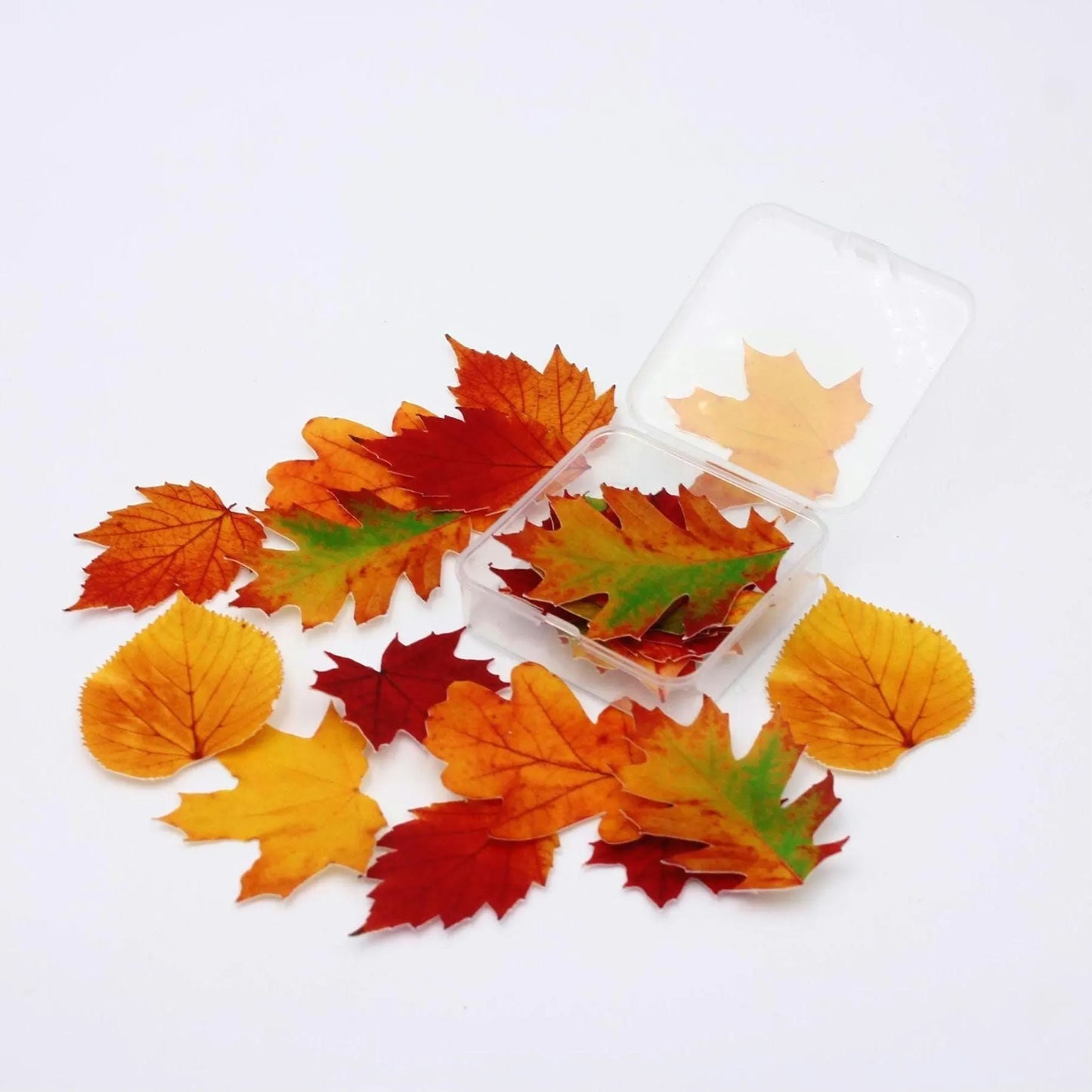 Fall Leaves Cupcake Toppers (22)