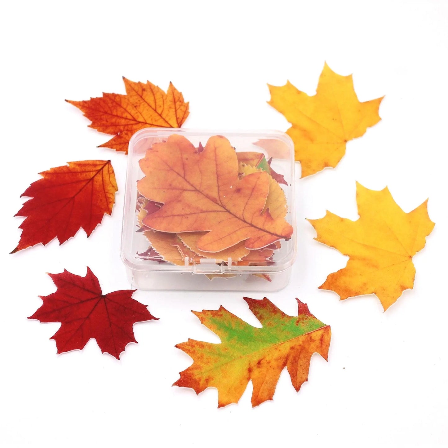 Fall Leaves Cupcake Toppers (22)