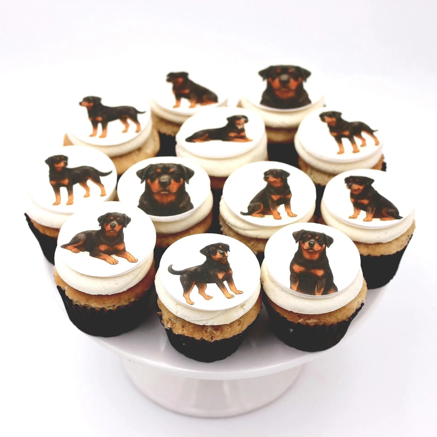 Rottweiler Cupcake Toppers (12)