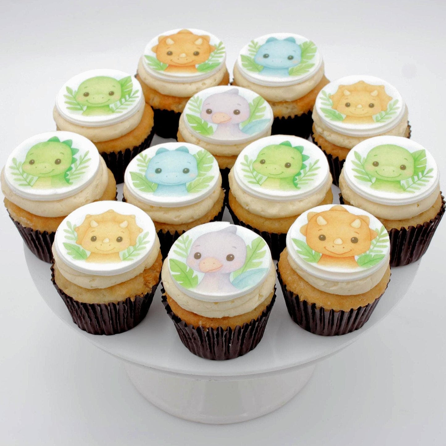 Baby Dinosaur Cupcake Toppers (12)