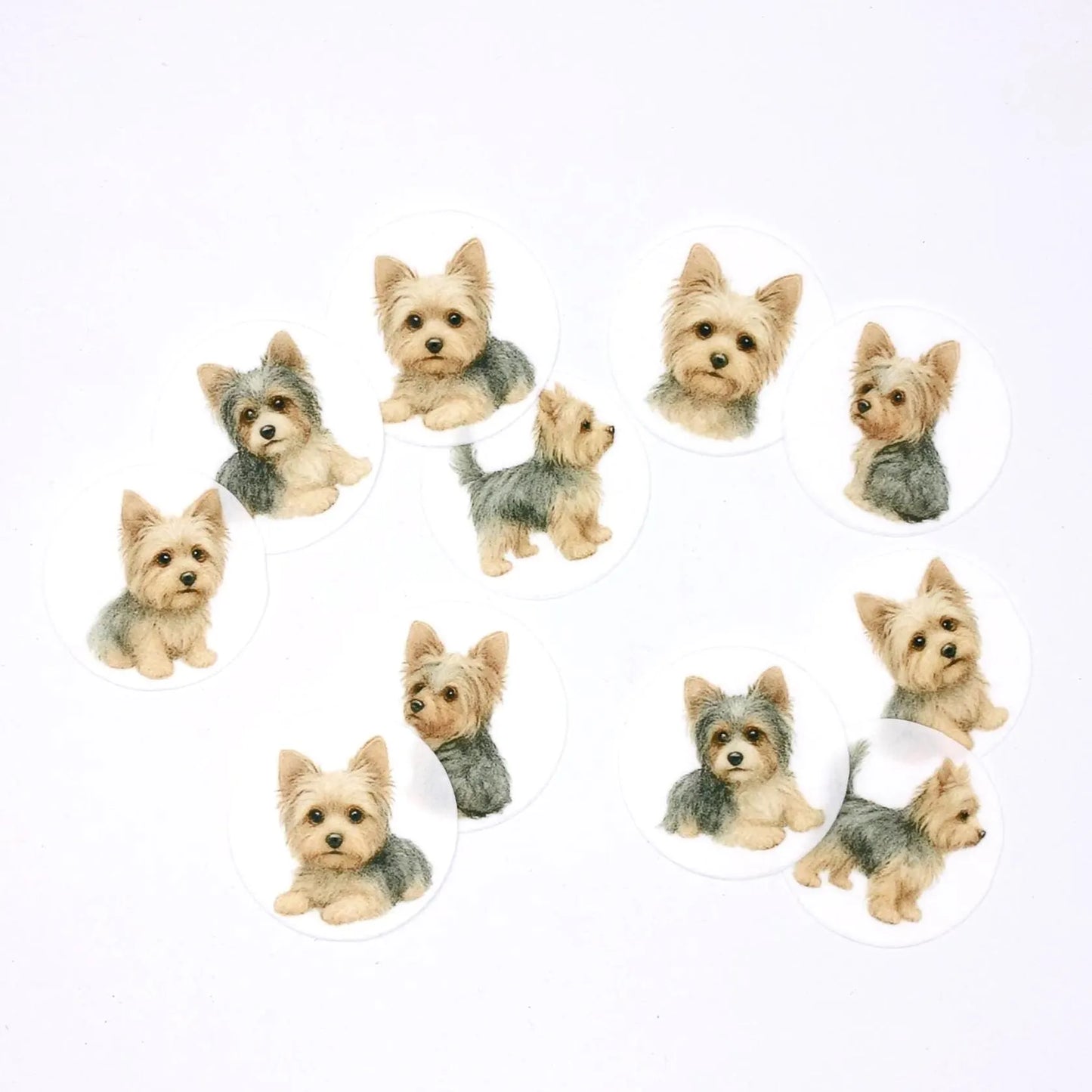 Yorkshire Terrier Cupcake Toppers (12)