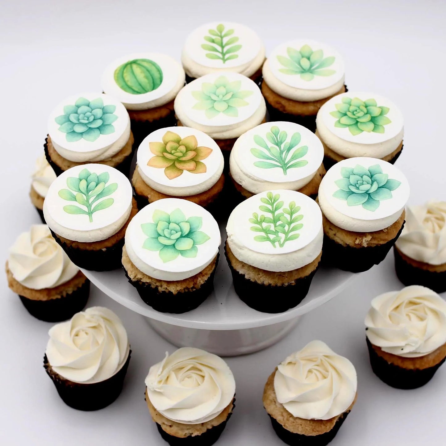 Succulent Cupcake Toppers (12)