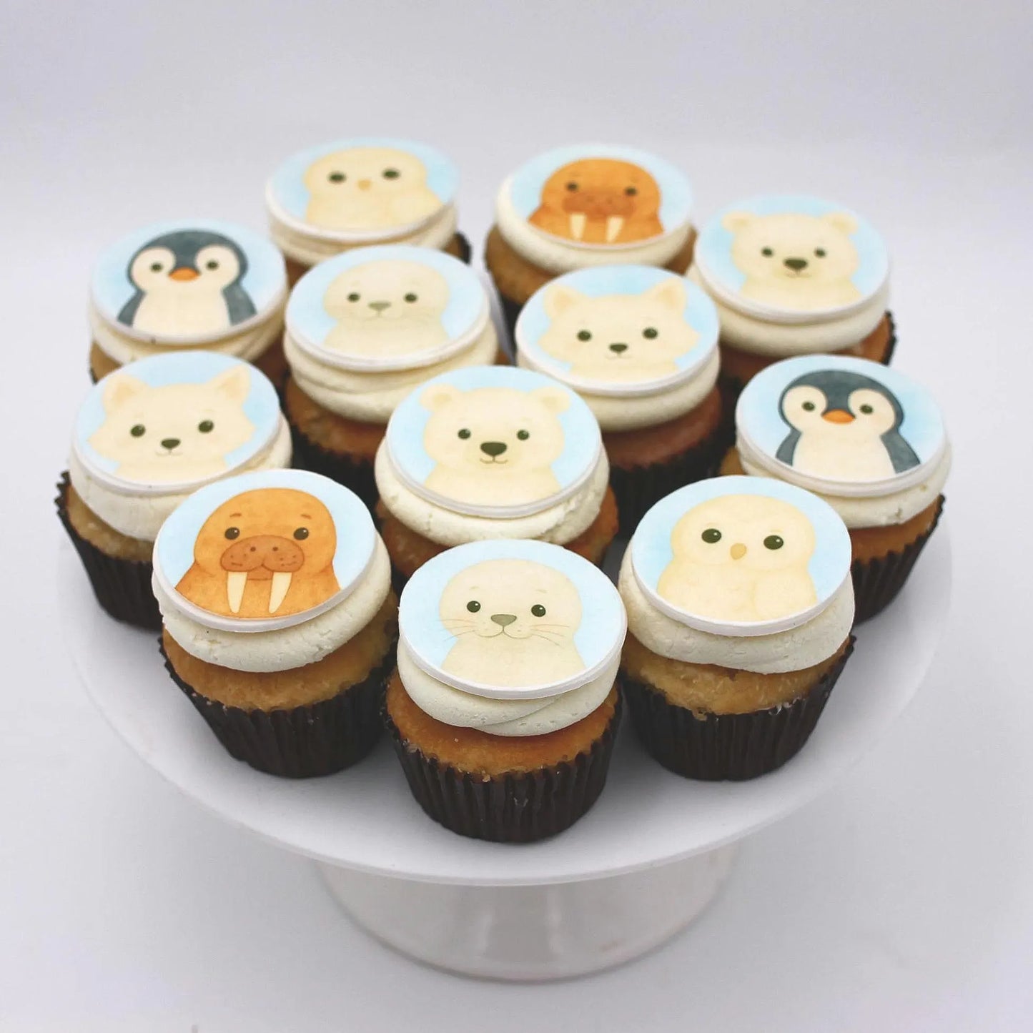 Arctic Animals Cupcake Toppers (12)