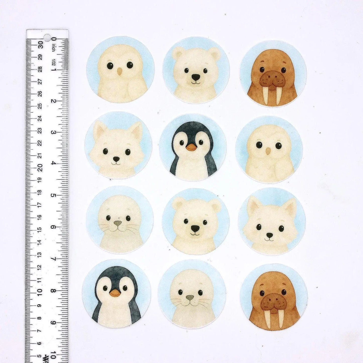 Arctic Animals Cupcake Toppers (12)