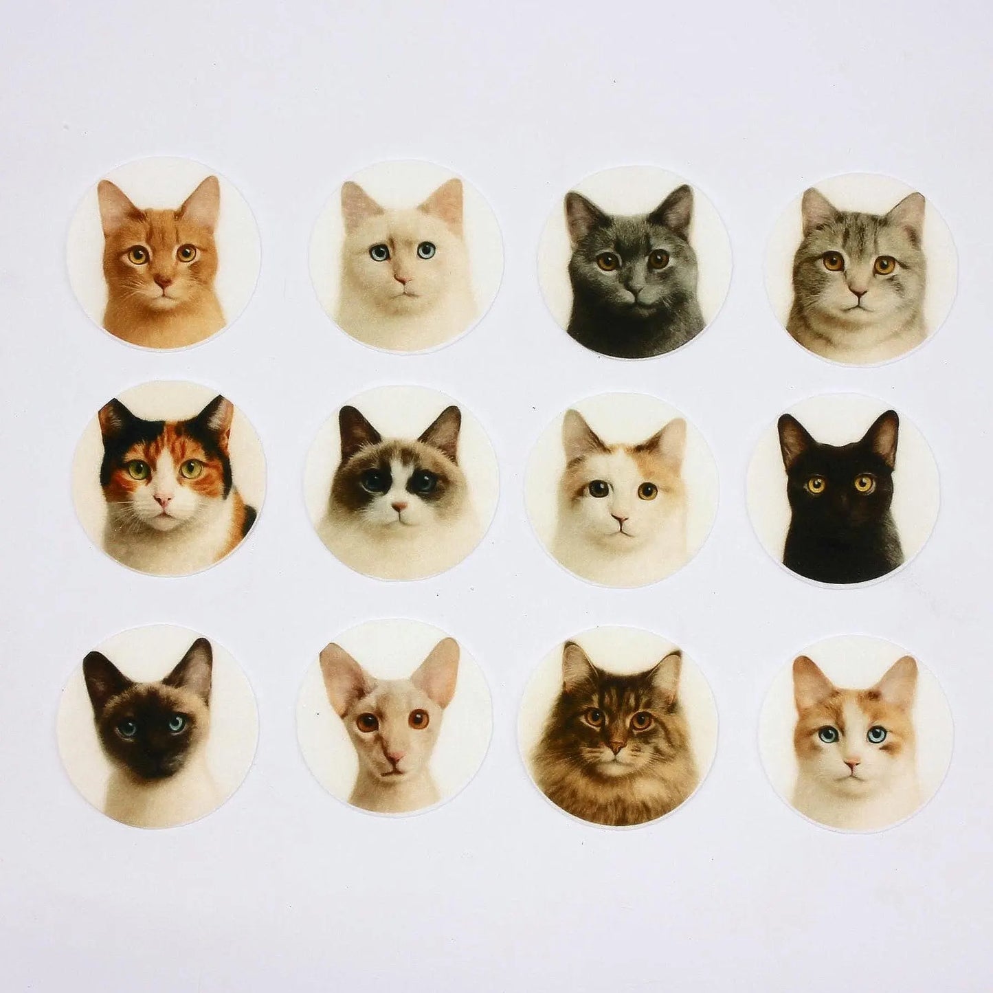 Cat Cupcake Toppers (12)