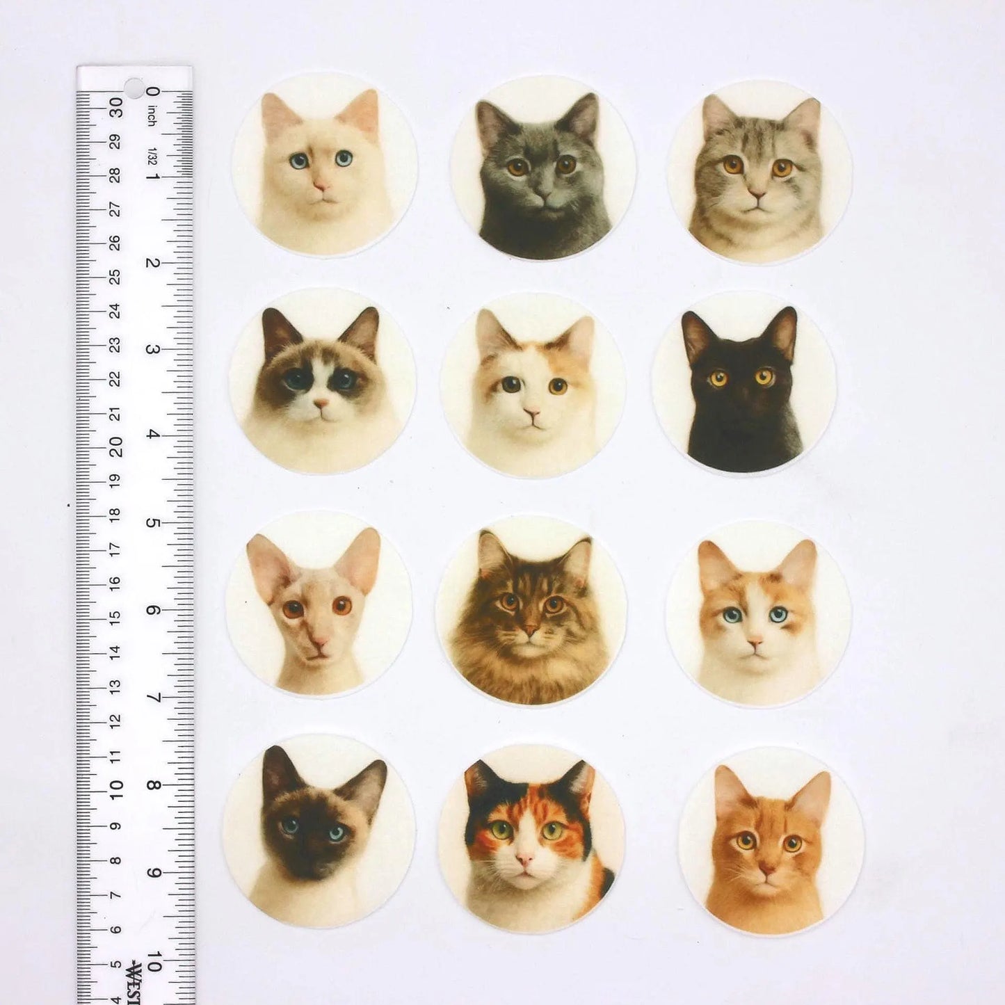 Cat Cupcake Toppers (12)