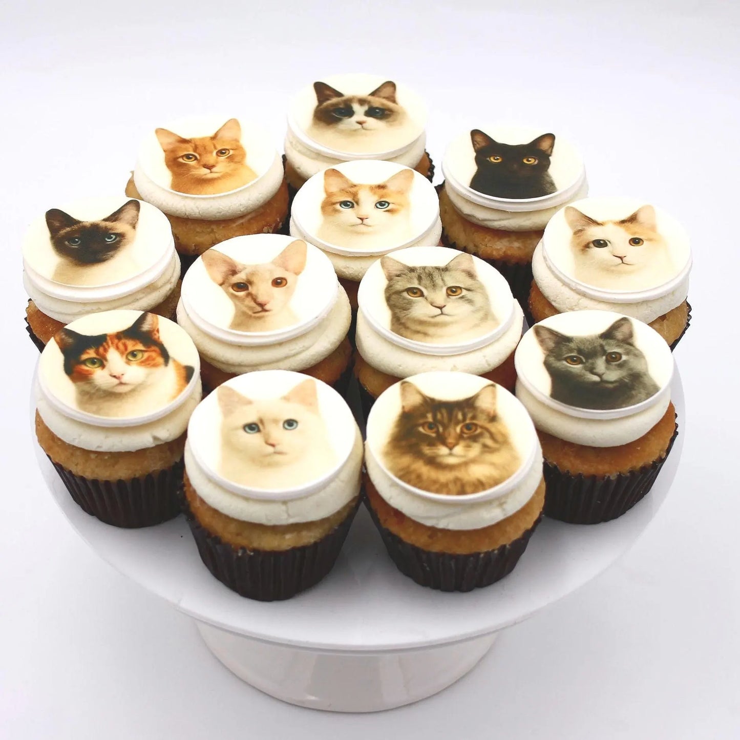 Cat Cupcake Toppers (12)
