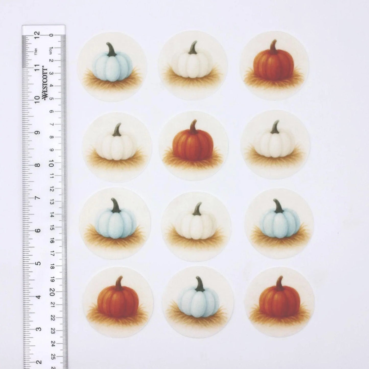 Pumpkin Cupcake Toppers (12)