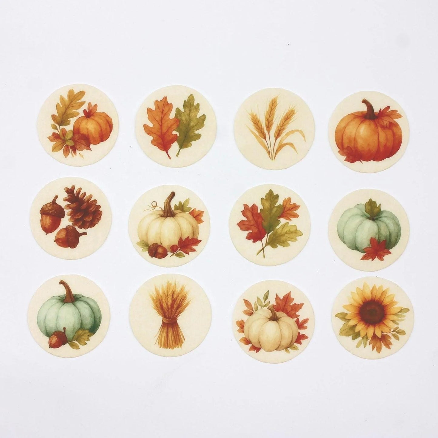 Rustic Harvest Cupcake Toppers (12)