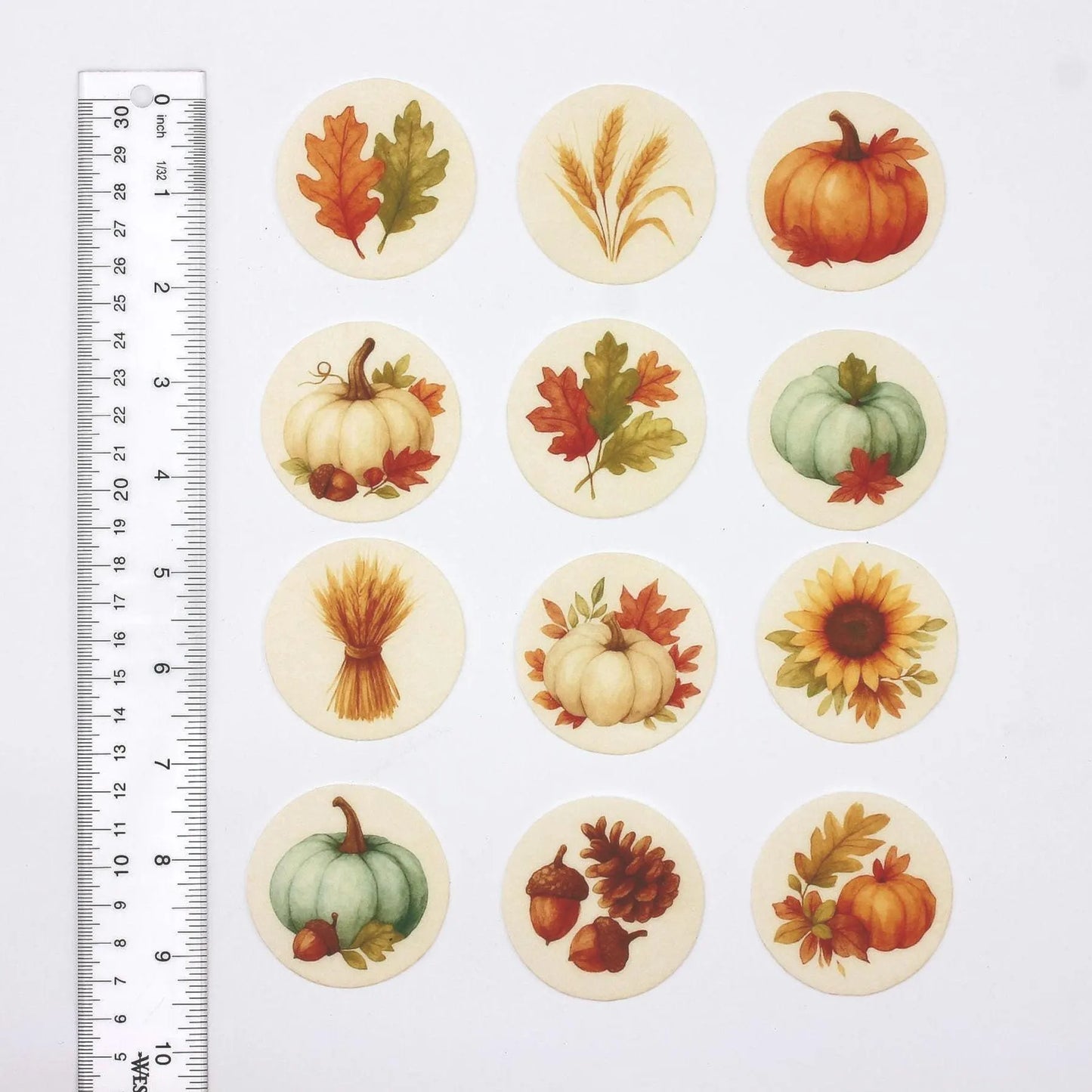 Rustic Harvest Cupcake Toppers (12)