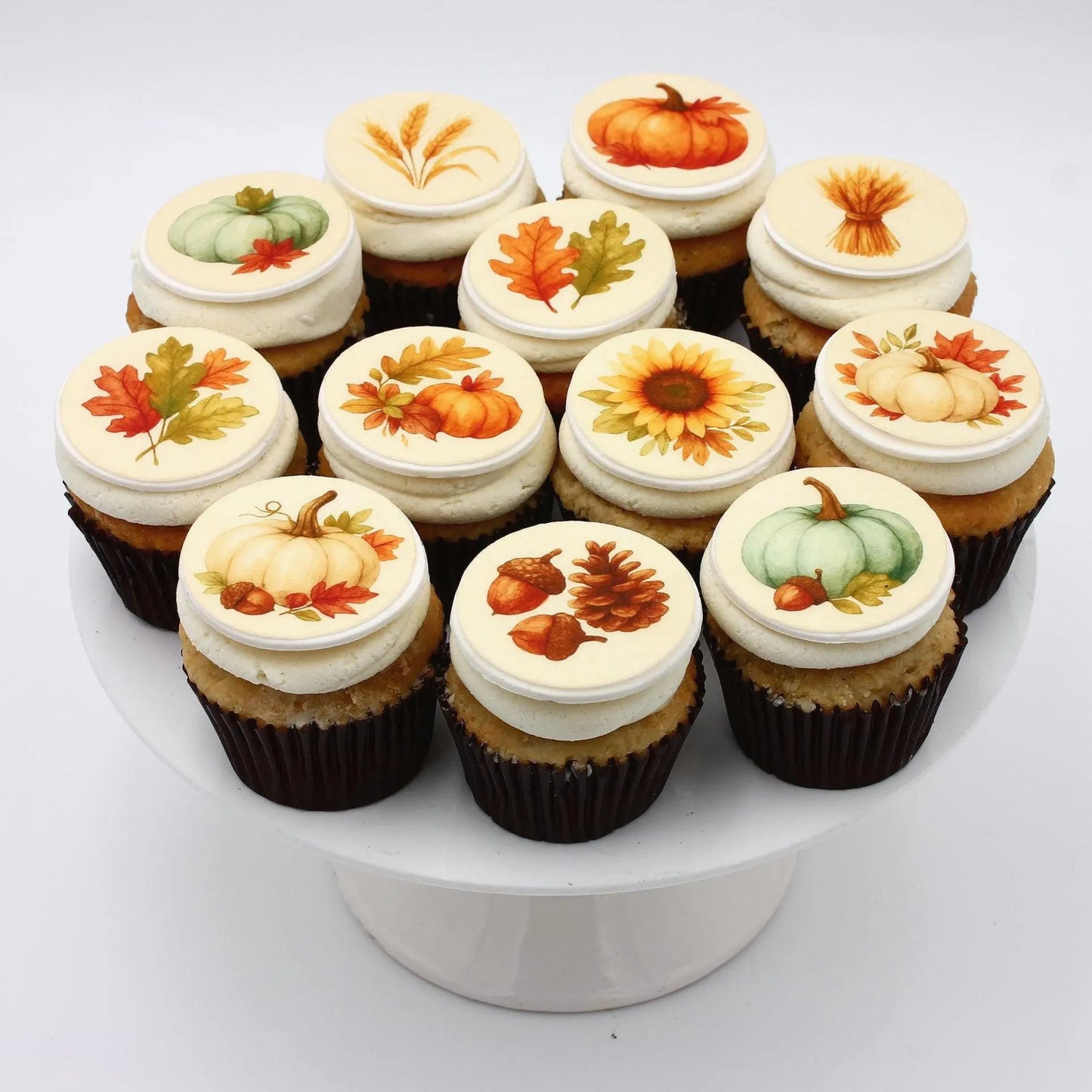 Rustic Harvest Cupcake Toppers (12)