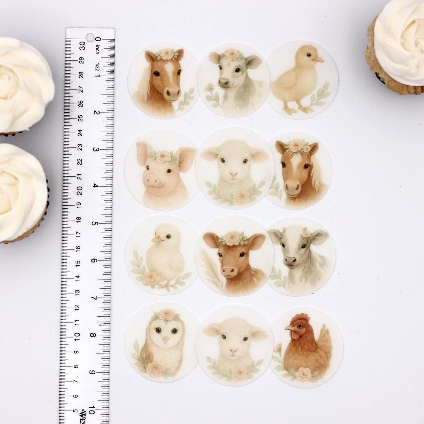 Boho Baby Farm Cupcake Toppers (12)