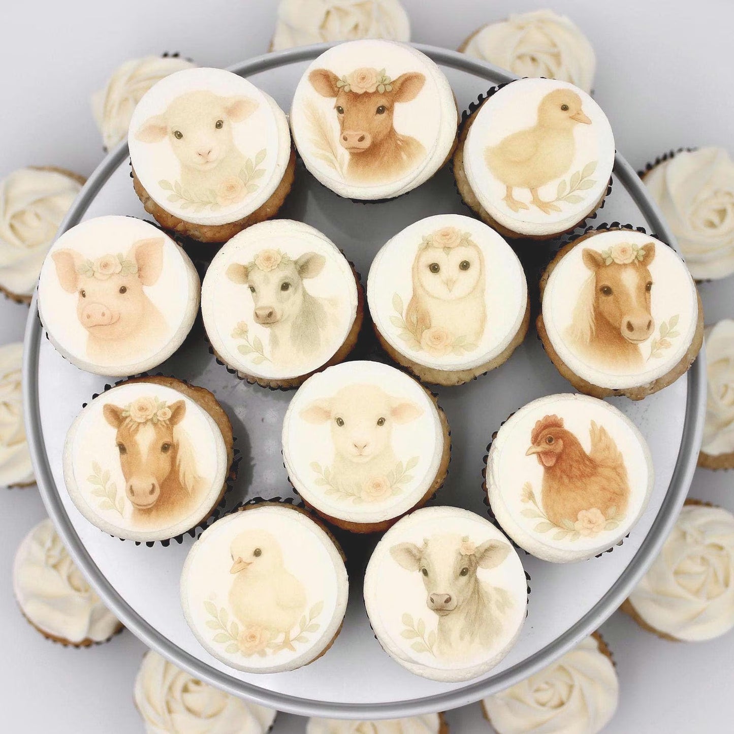Boho Baby Farm Cupcake Toppers (12)
