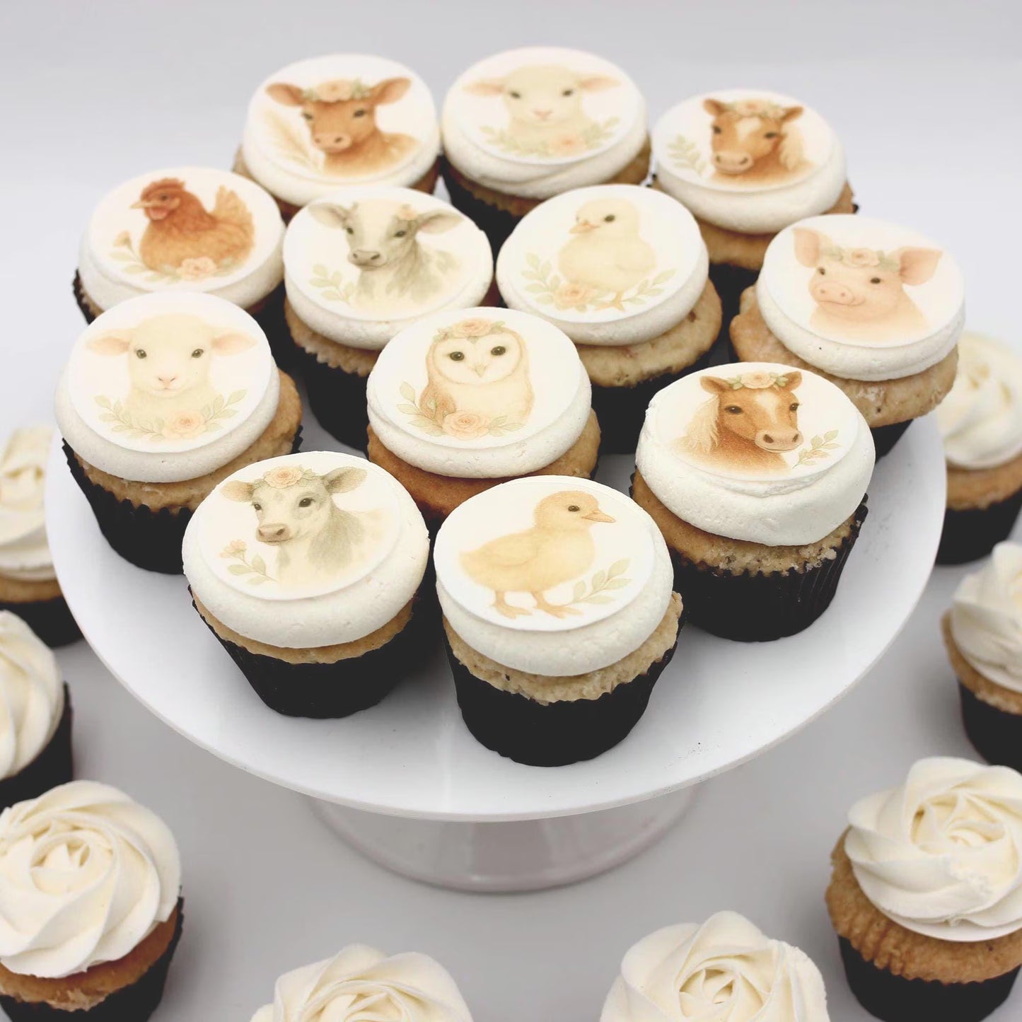 Boho Baby Farm Cupcake Toppers (12)
