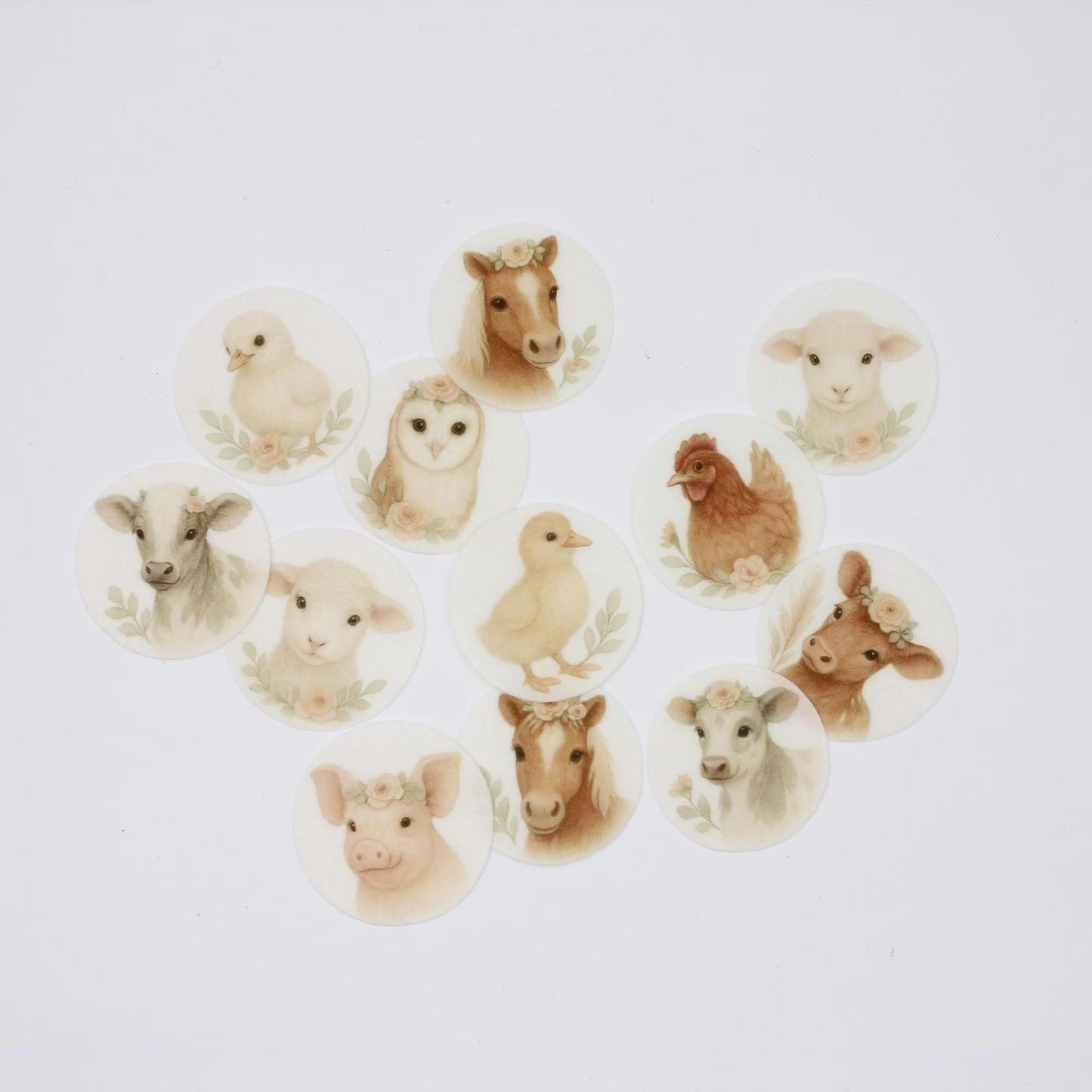 Boho Baby Farm Cupcake Toppers (12)