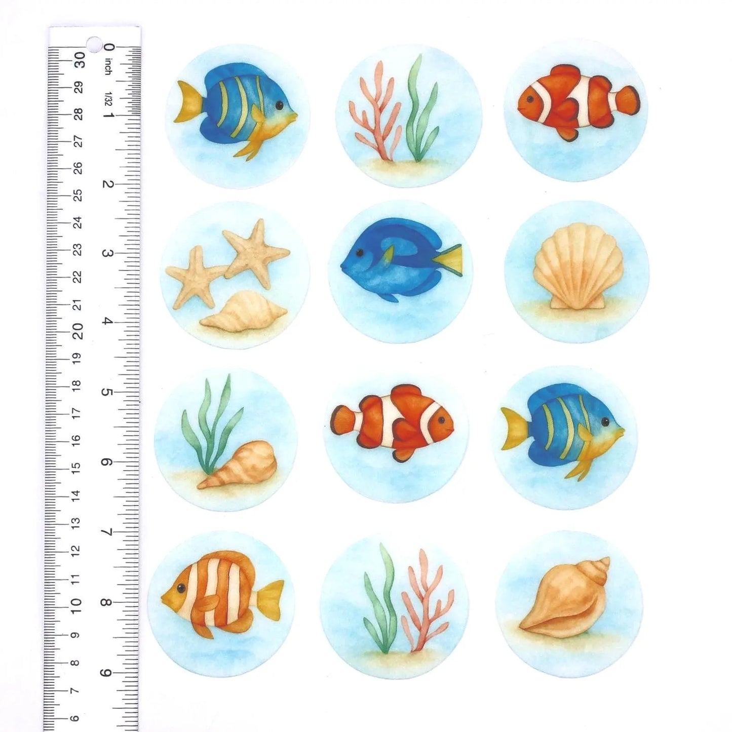 Fish Cupcake Toppers (12)