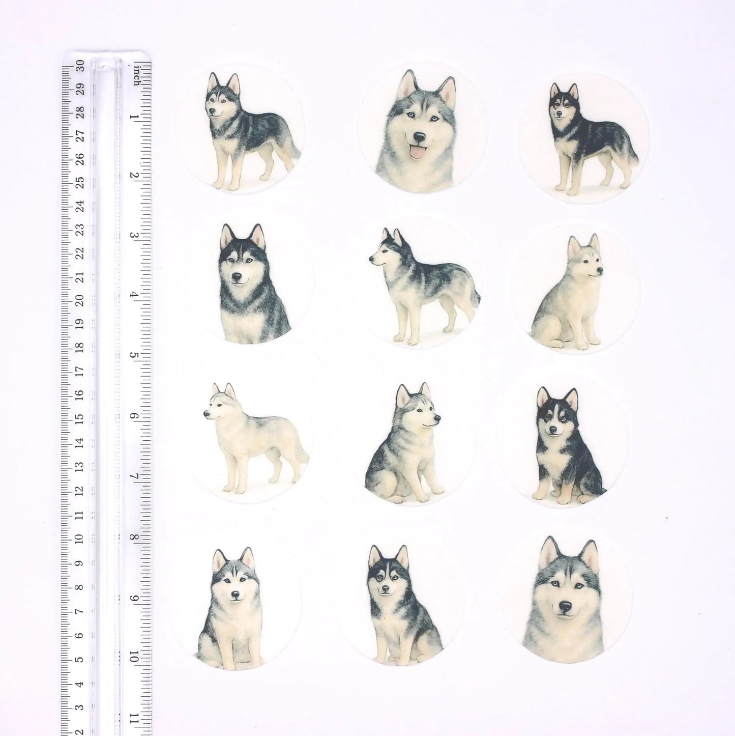 Husky Cupcake Toppers (12)