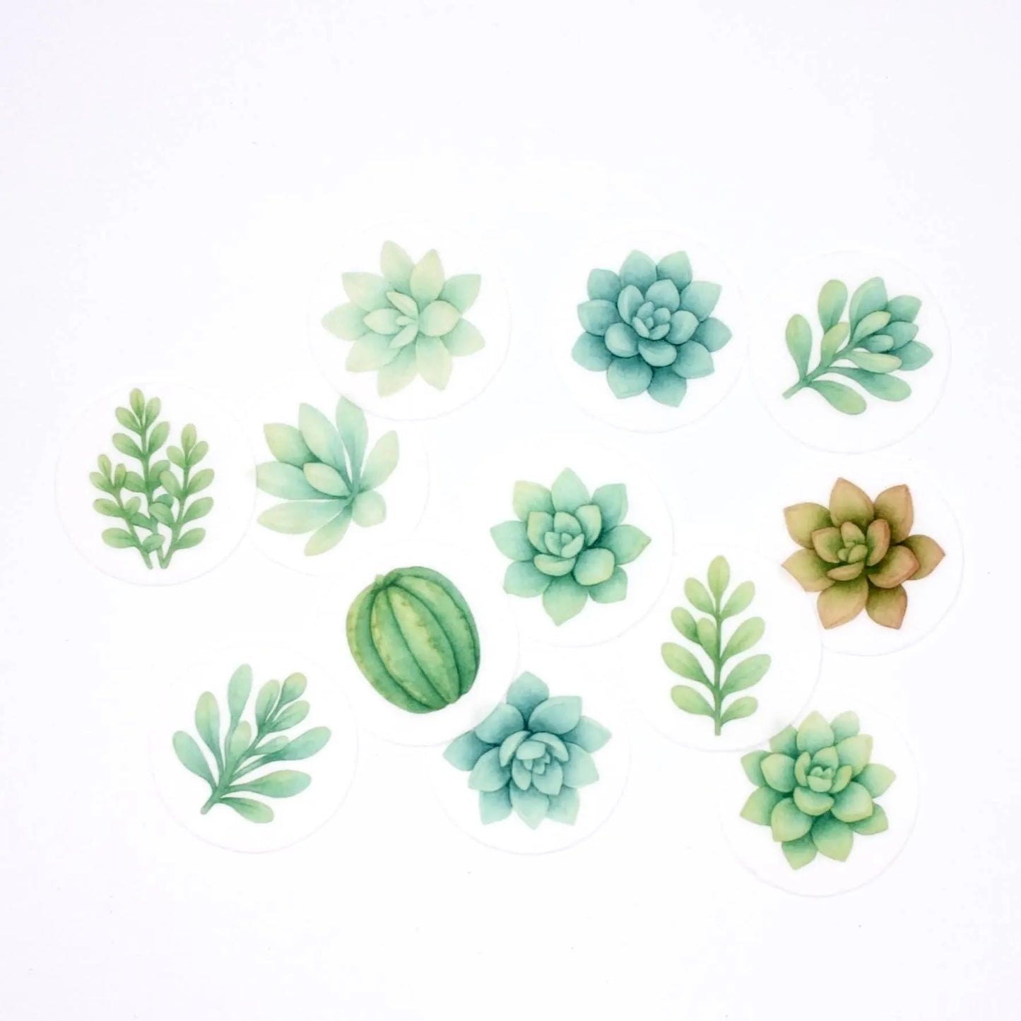Succulent Cupcake Toppers (12)