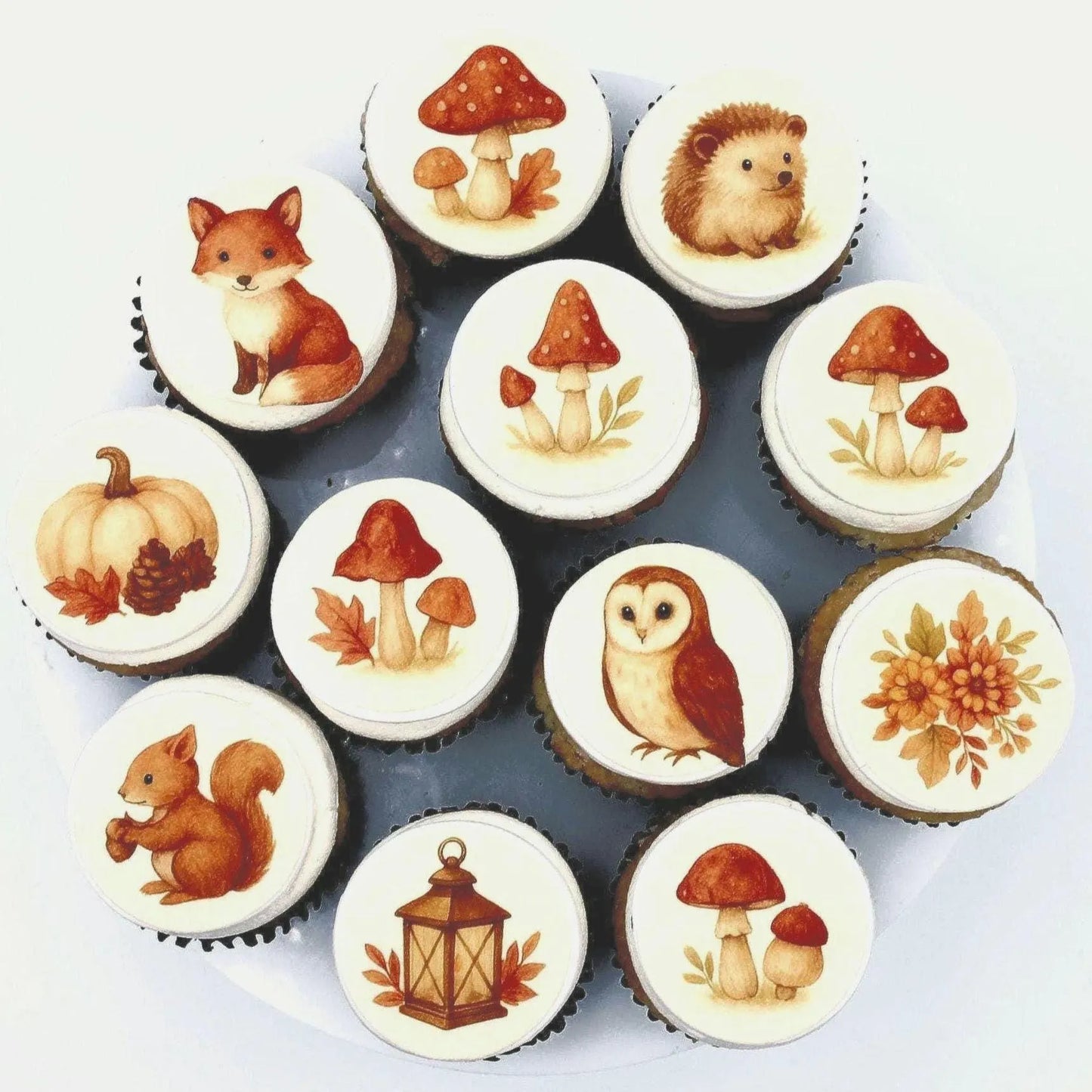 Whimsical Fall Cupcake Toppers (12)