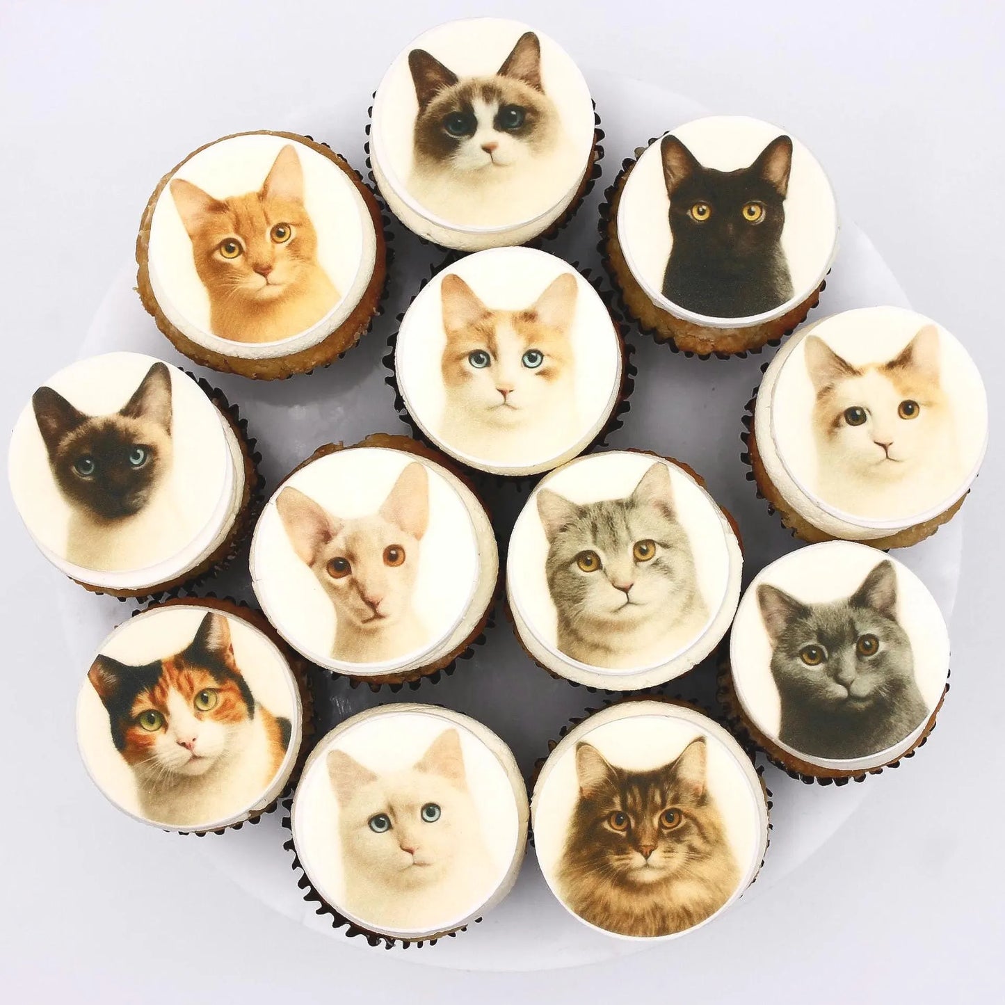 Cat Cupcake Toppers (12)