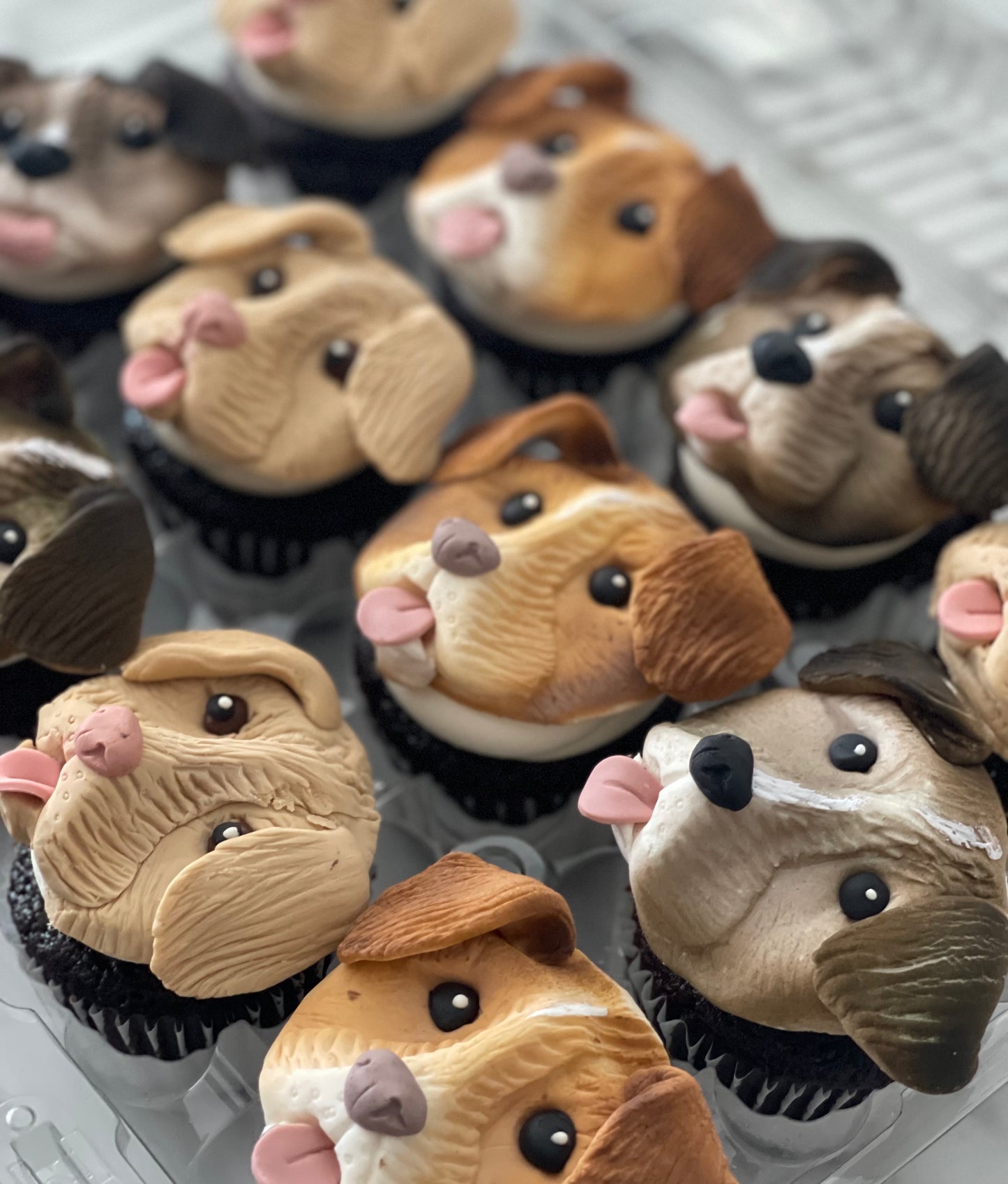 Dog Face Cupcakes (12)