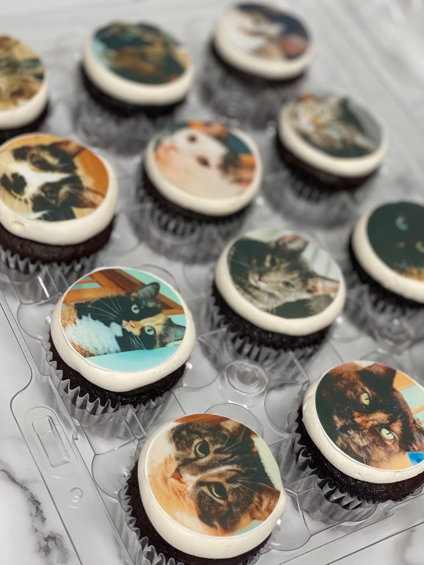 Edible Image Cupcakes (12)