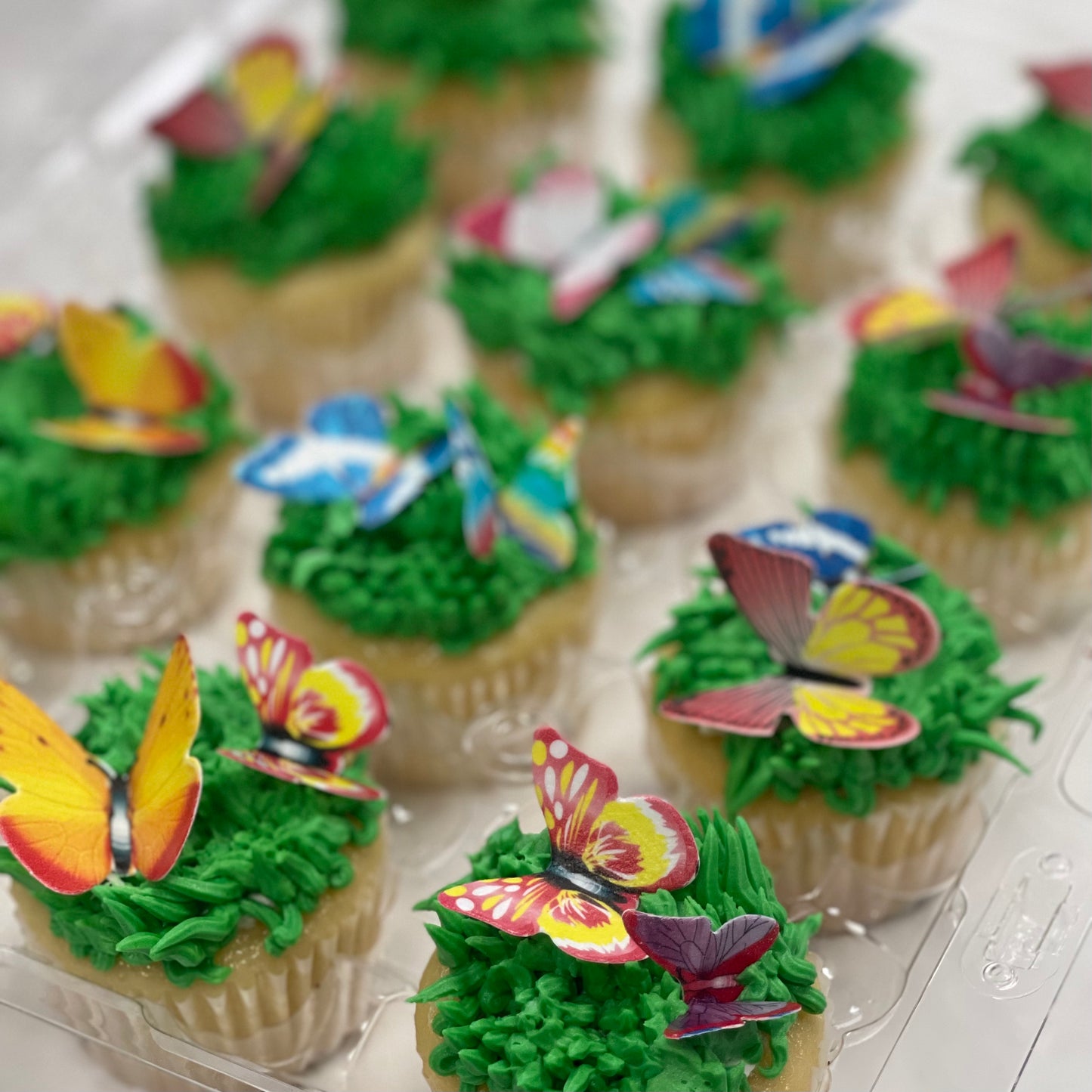 Butterfly Cupcakes (12)