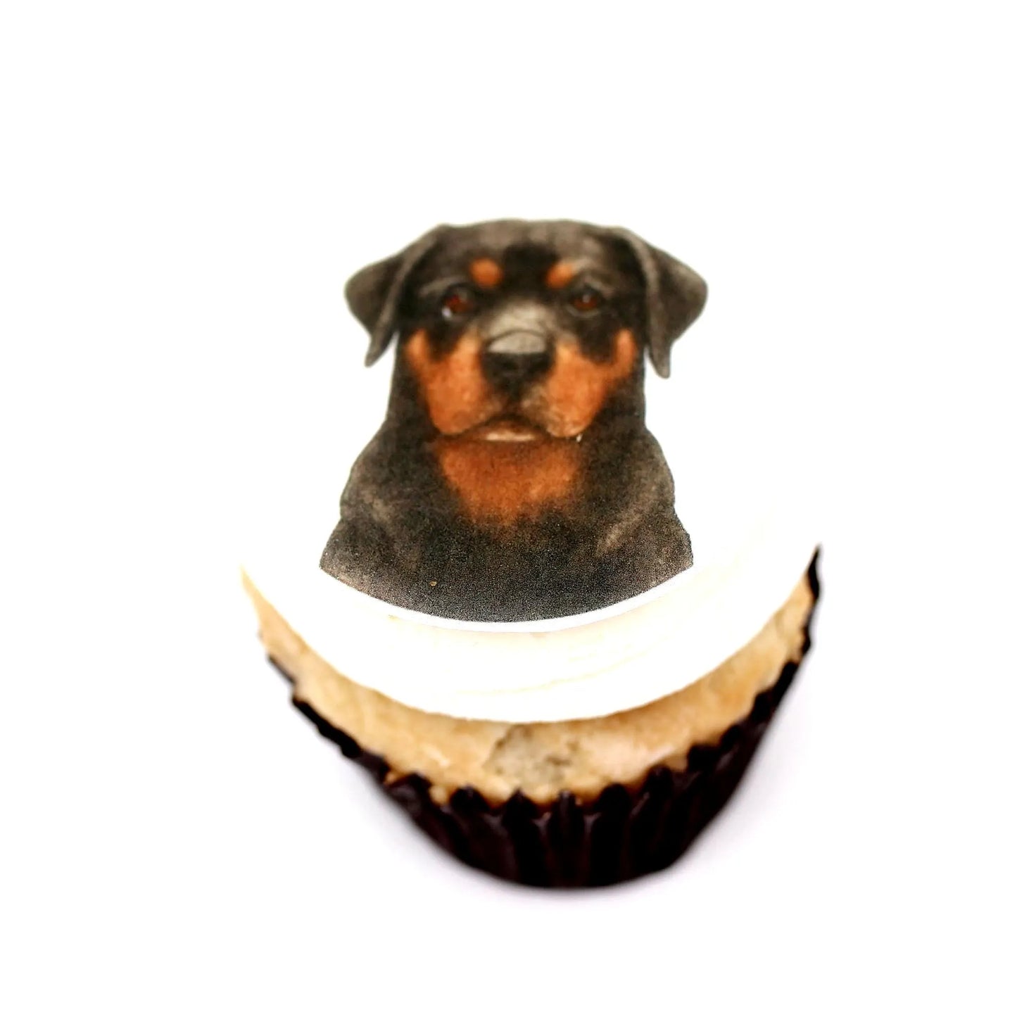 Rottweiler Cupcake Toppers (12)