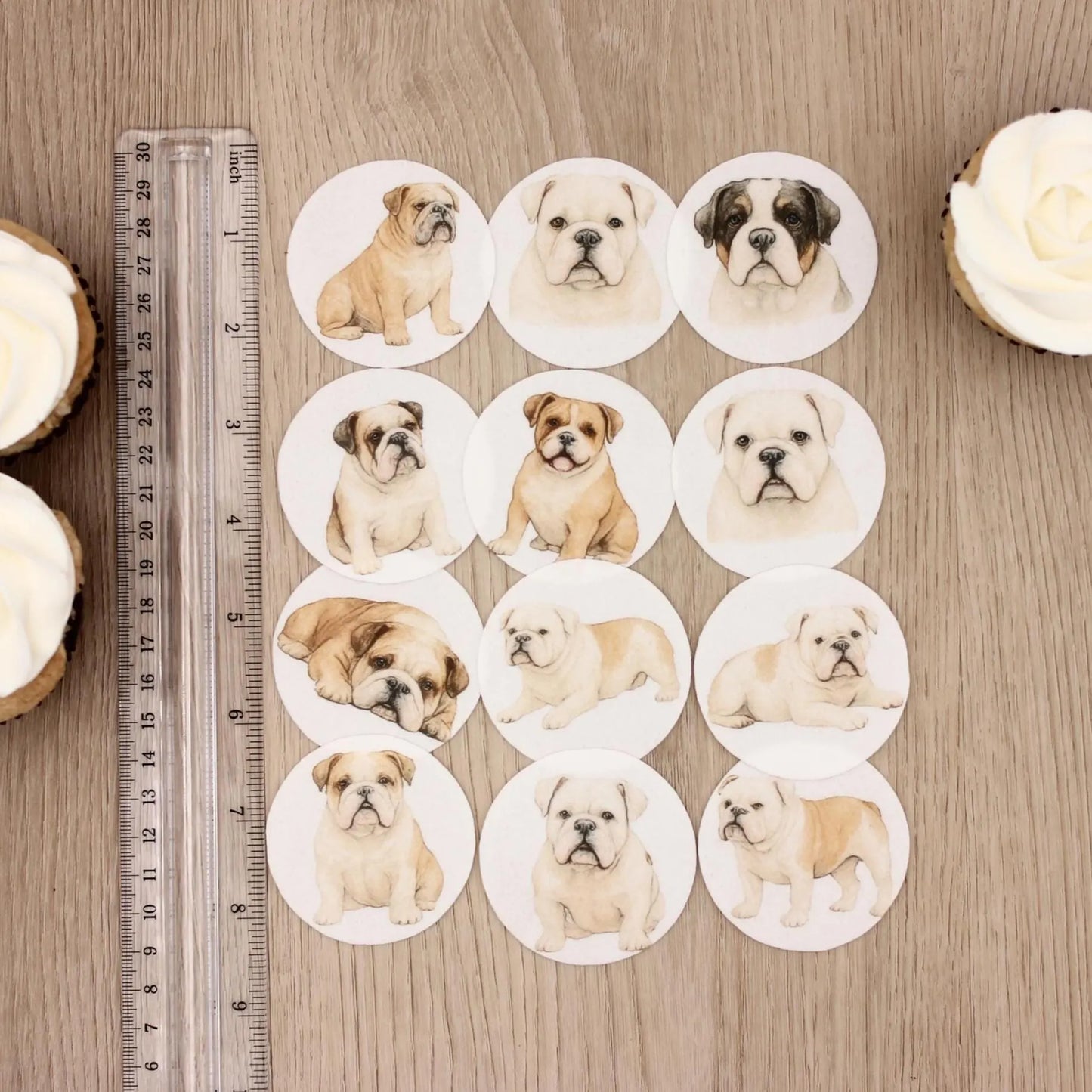 Bulldog Cupcake Toppers (12)