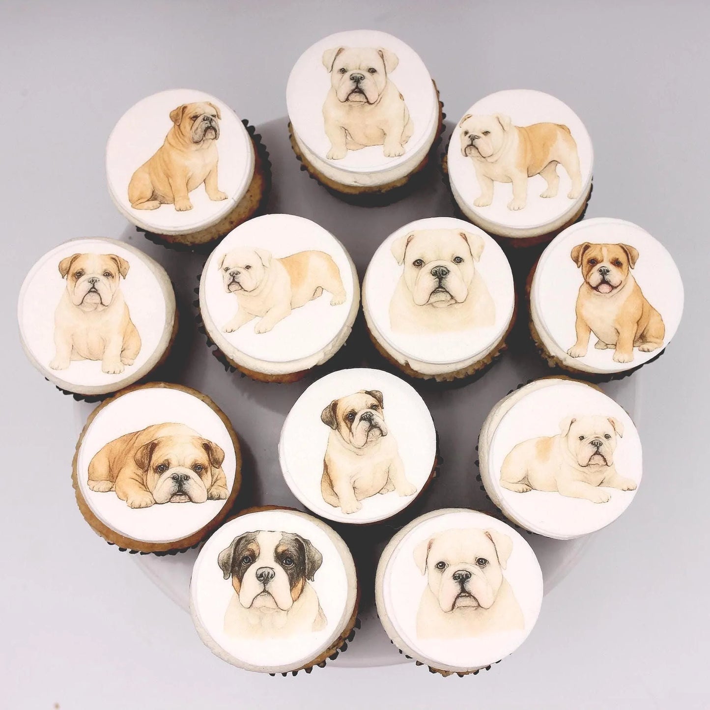 Bulldog Cupcake Toppers (12)