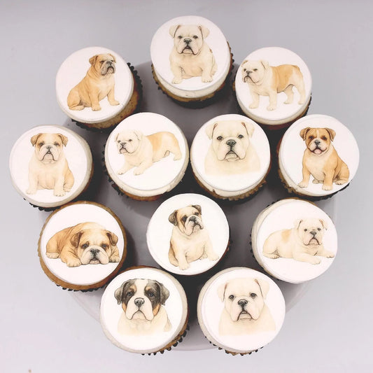 Bulldog Cupcake Toppers (12)