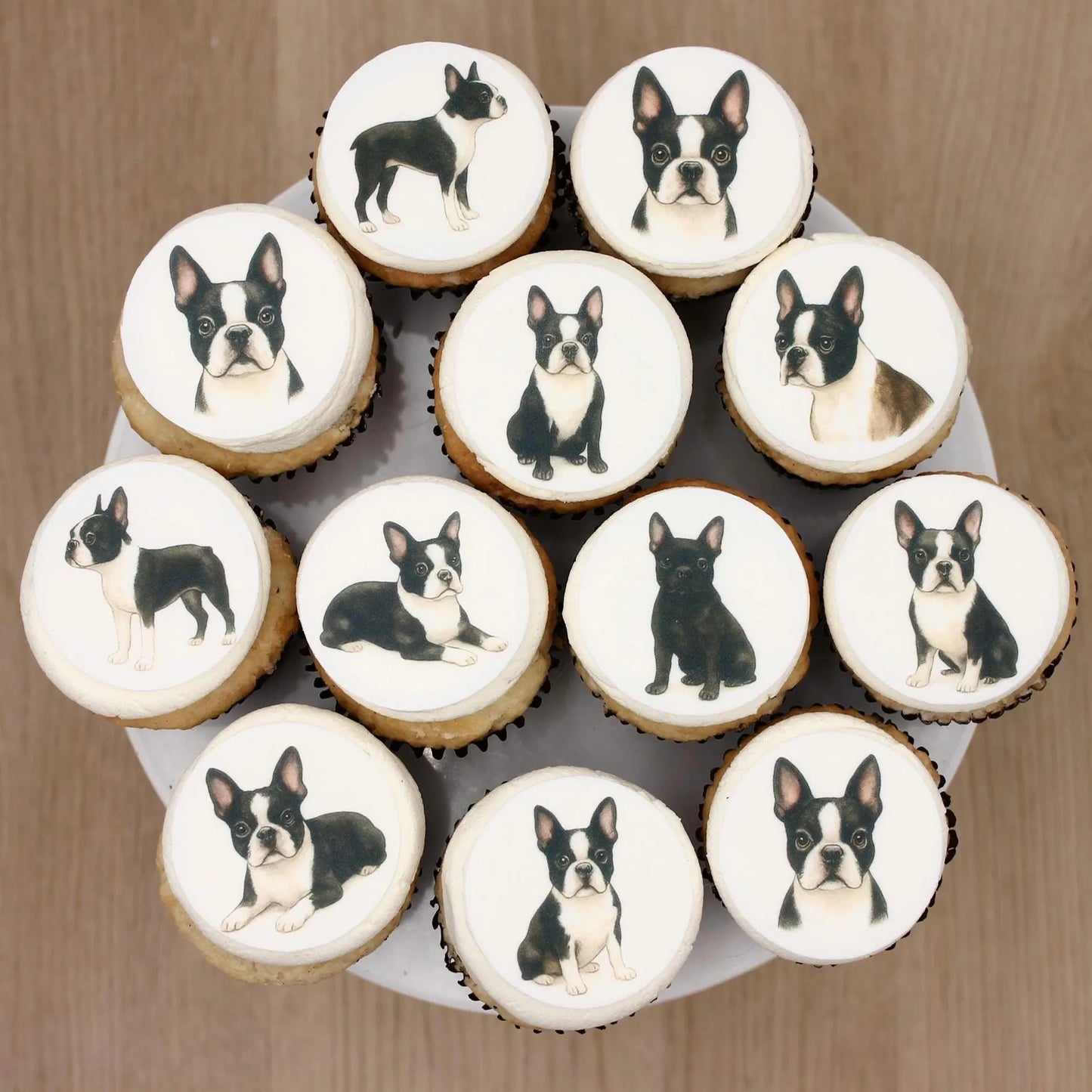 French Bulldog Cupcake Toppers (12)