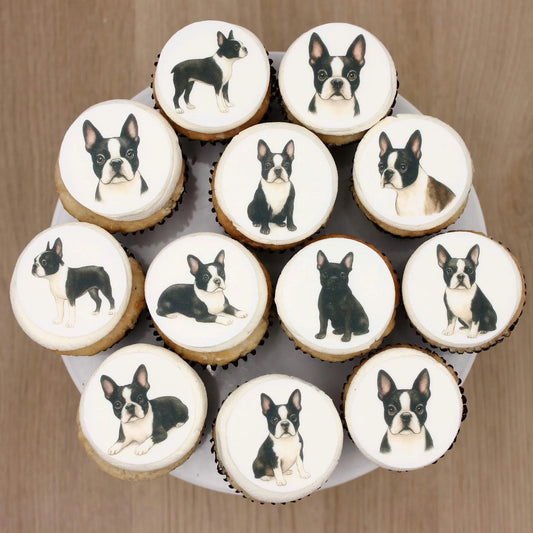 French Bulldog Cupcake Toppers (12)