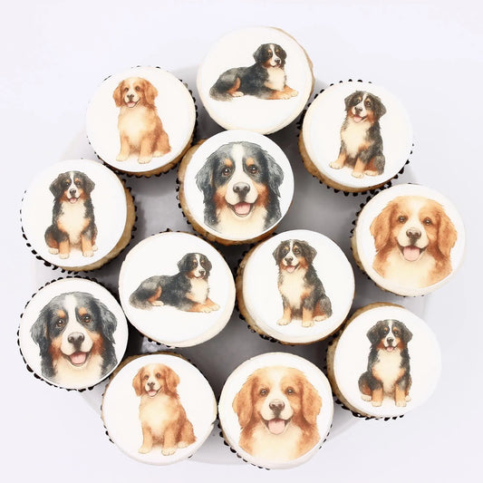 Bernese Mountain Dog Cupcake Toppers (12)