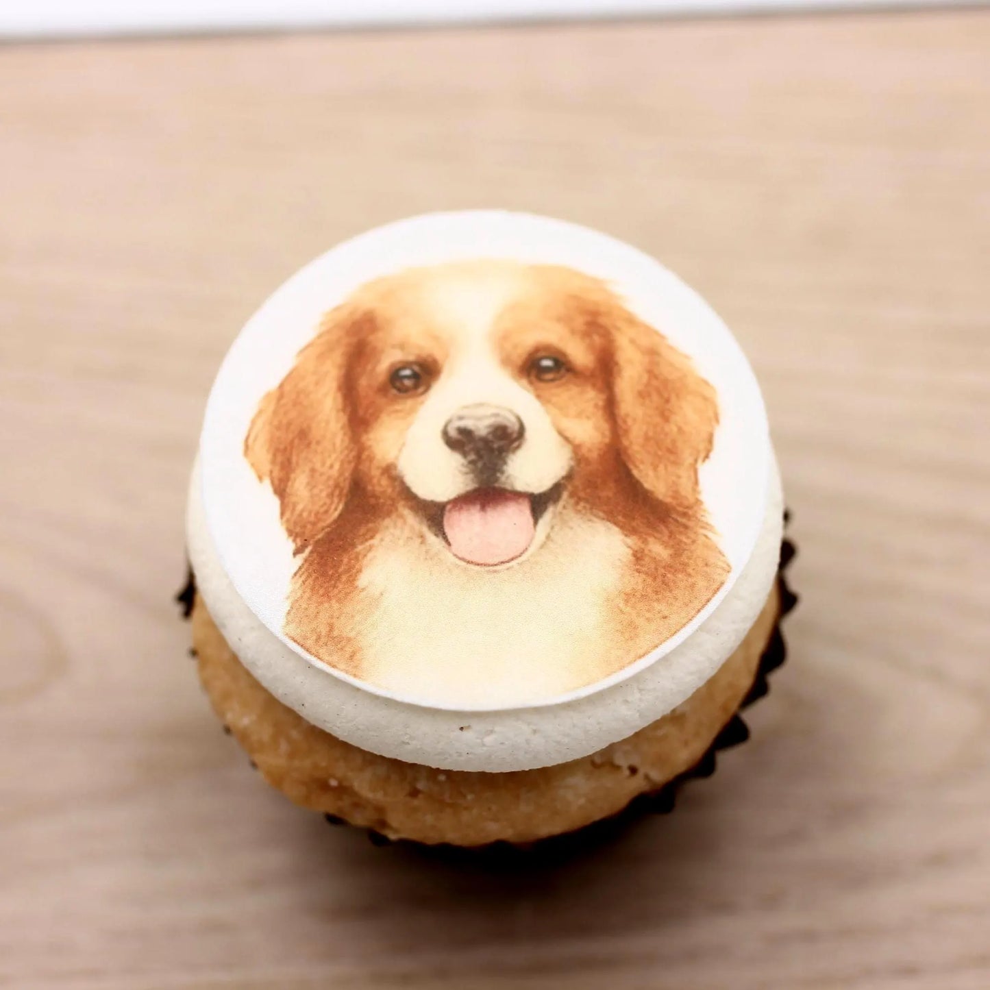 Bernese Mountain Dog Cupcake Toppers (12)