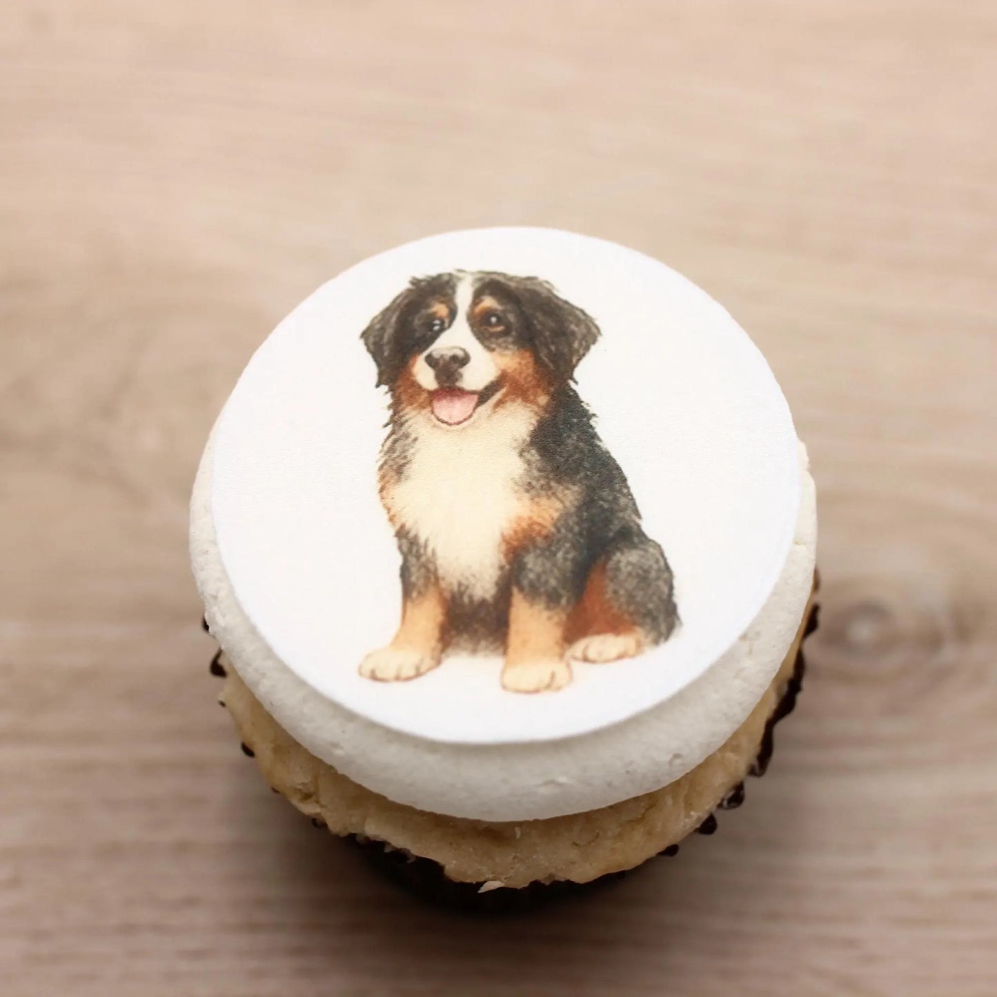 Bernese Mountain Dog Cupcake Toppers (12)