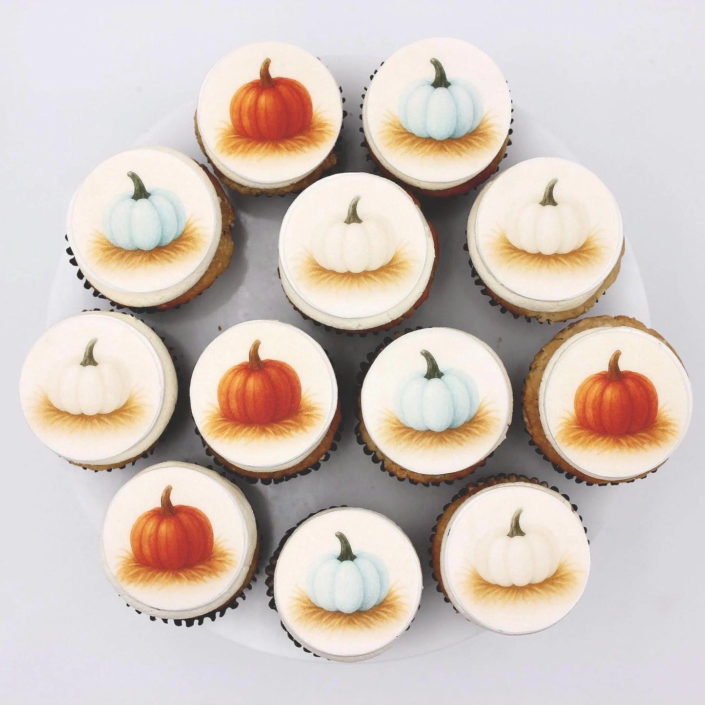 Pumpkin Cupcake Toppers (12)