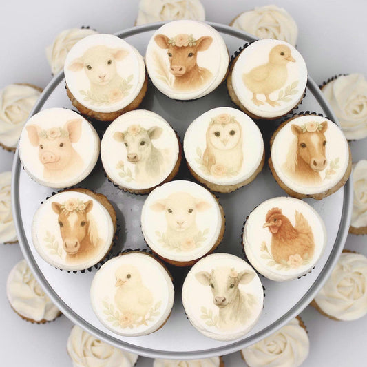 Boho Baby Farm Cupcake Toppers (12)