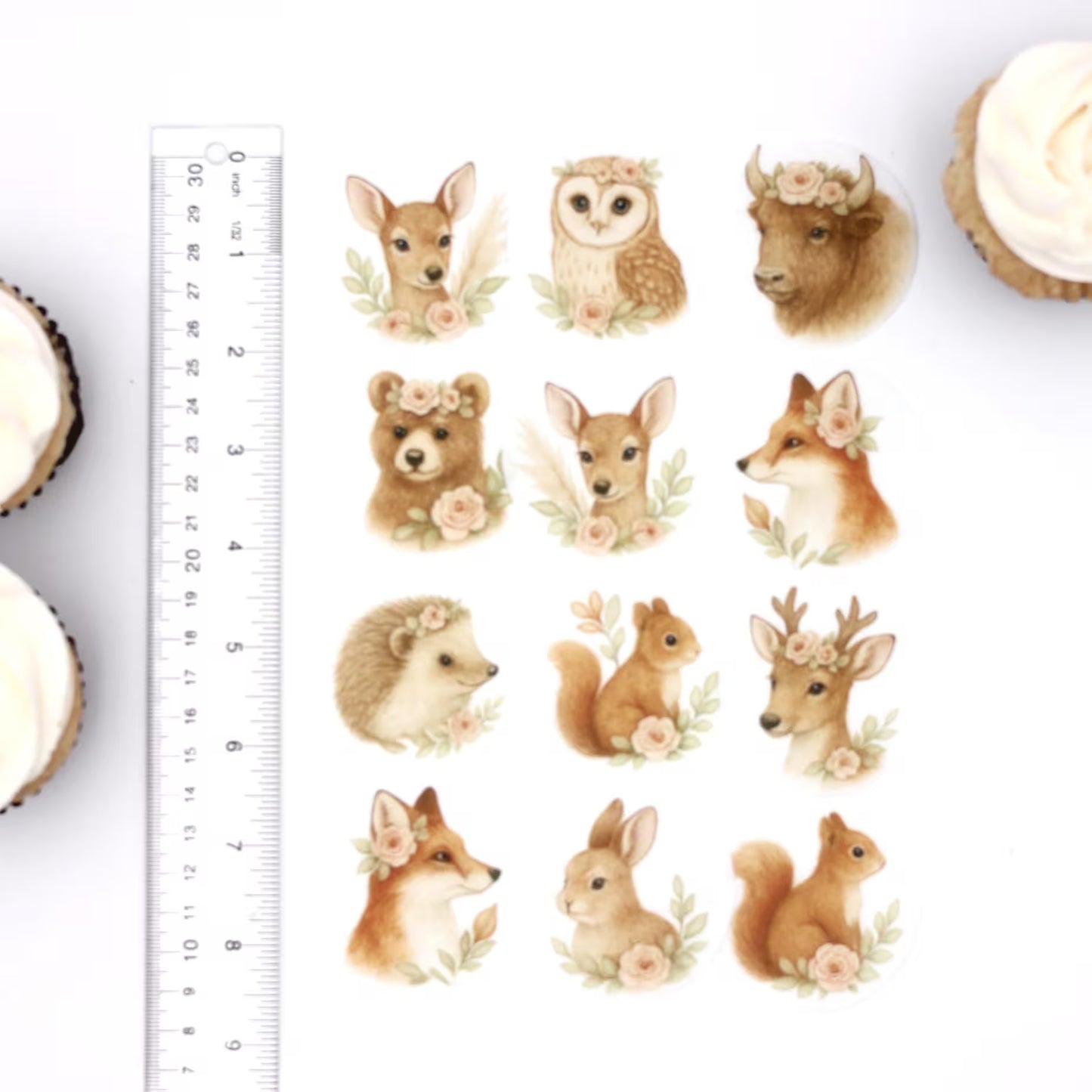Boho Woodland Animals Cupcake Toppers (12)