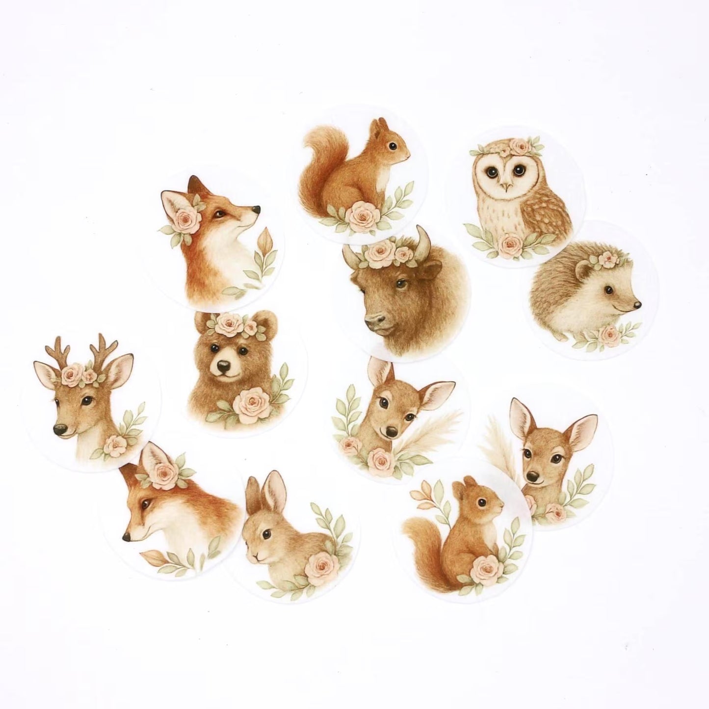 Boho Woodland Animals Cupcake Toppers (12)