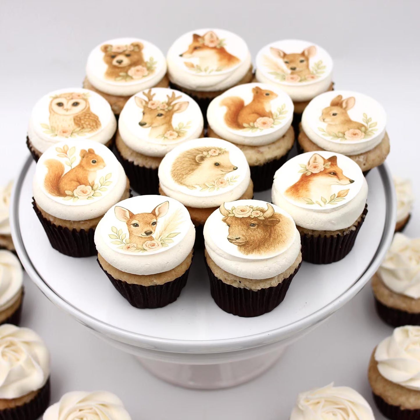 Boho Woodland Animals Cupcake Toppers (12)
