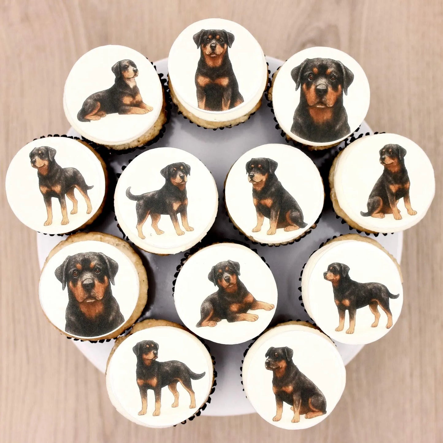 Rottweiler Cupcake Toppers (12)