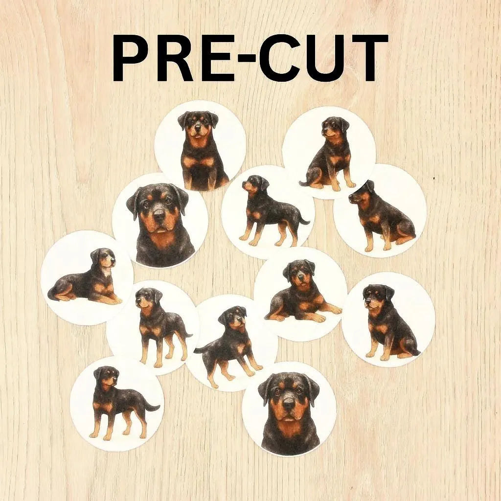 Rottweiler Cupcake Toppers (12)