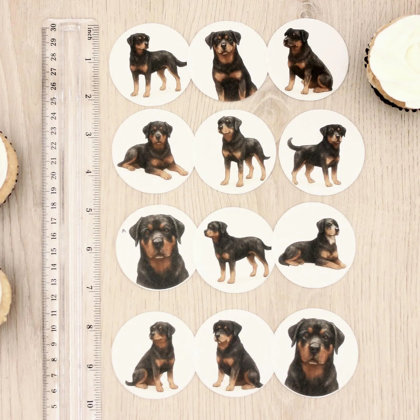 Rottweiler Cupcake Toppers (12)