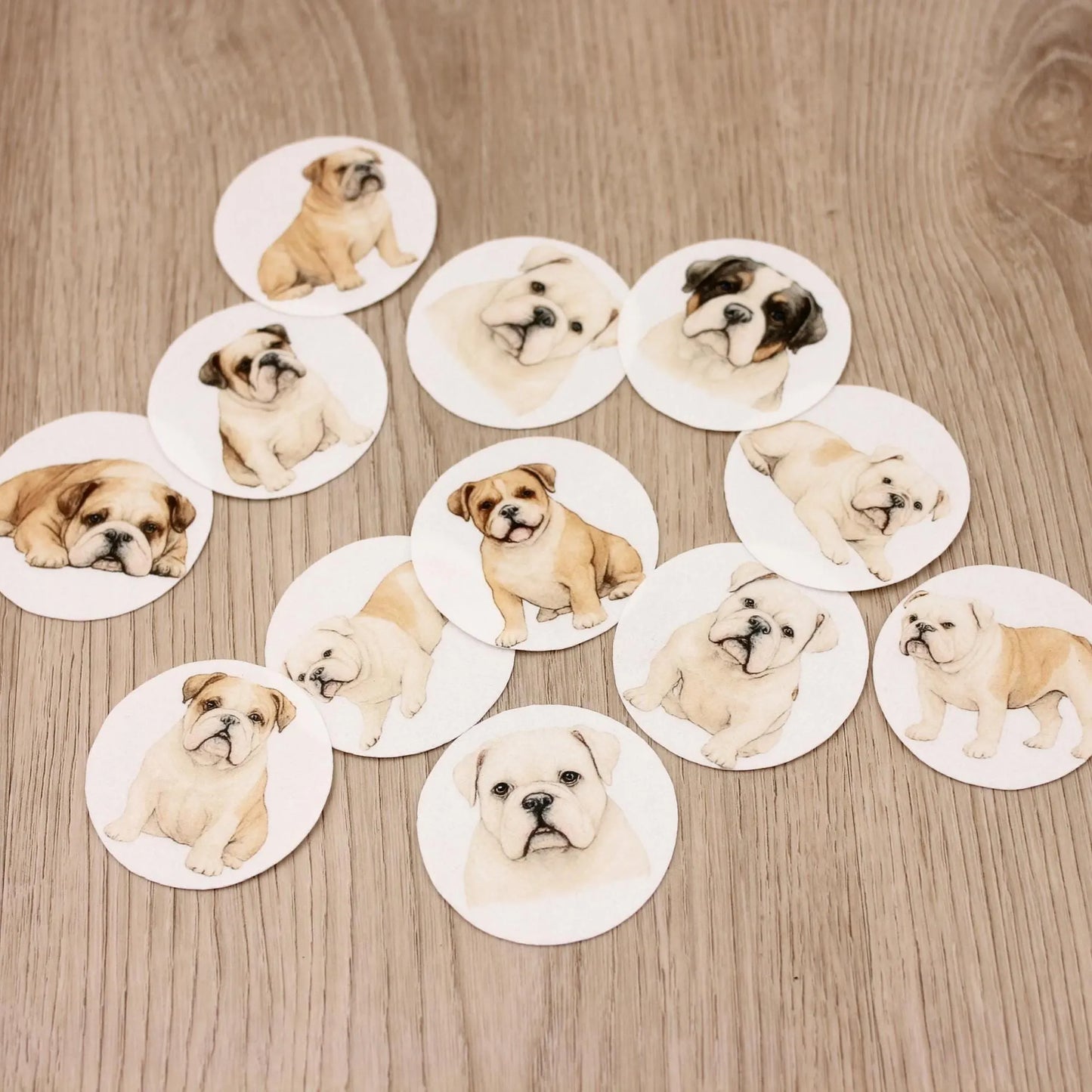 Bulldog Cupcake Toppers (12)