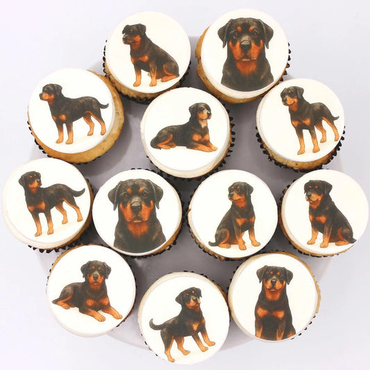 Rottweiler Cupcake Toppers (12)