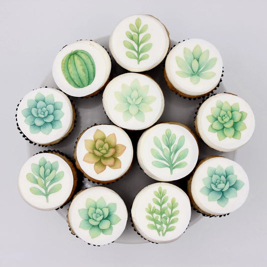 Succulent Cupcake Toppers (12)